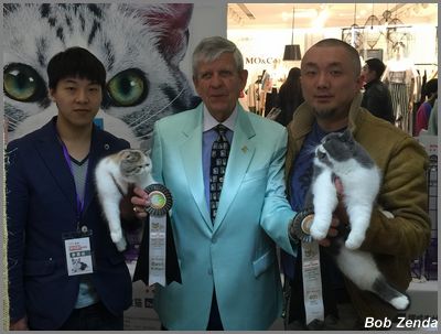 Joycat Ex Wessex Tiara & Panthere Bleue